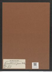 Triceratium grave A. Schm. (de-Toni-Nr.: Genus 140, Species 3858) Zeichnungen Sammlung Grunow Mappe 03910 (Herbarium_W_Grunow_drawings_Folder_03910)